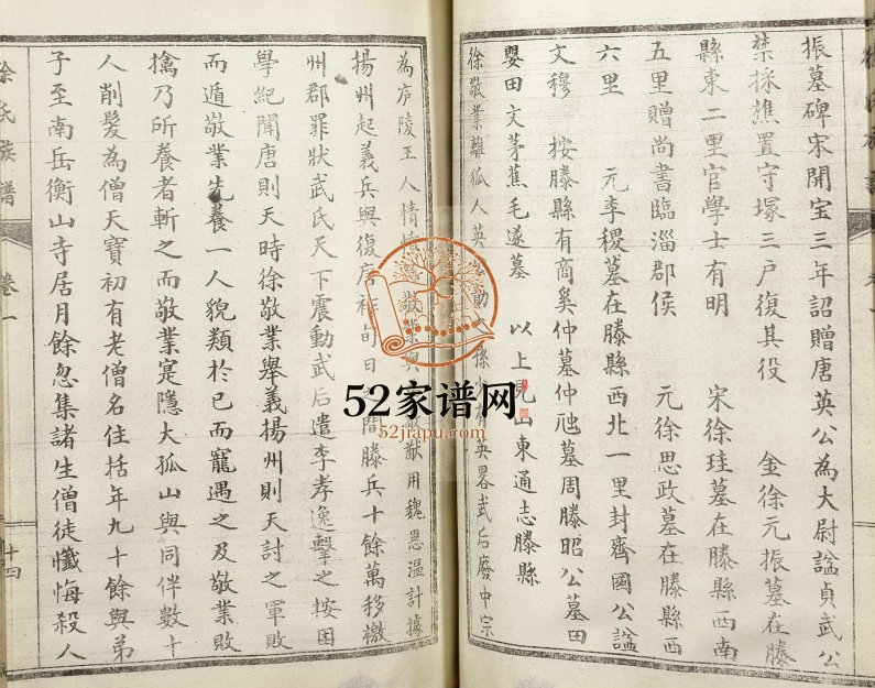 2002年九修平阳徐氏族谱 山东新泰徐姓电子版家谱下载