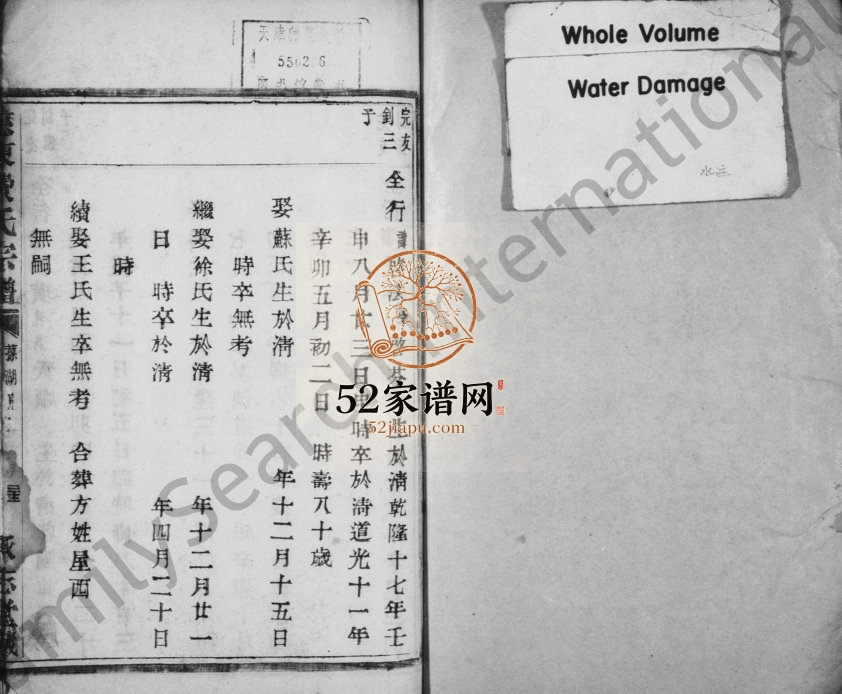 1860年修慈东费氏宗谱 浙江慈溪承志堂费姓电子版族谱下载