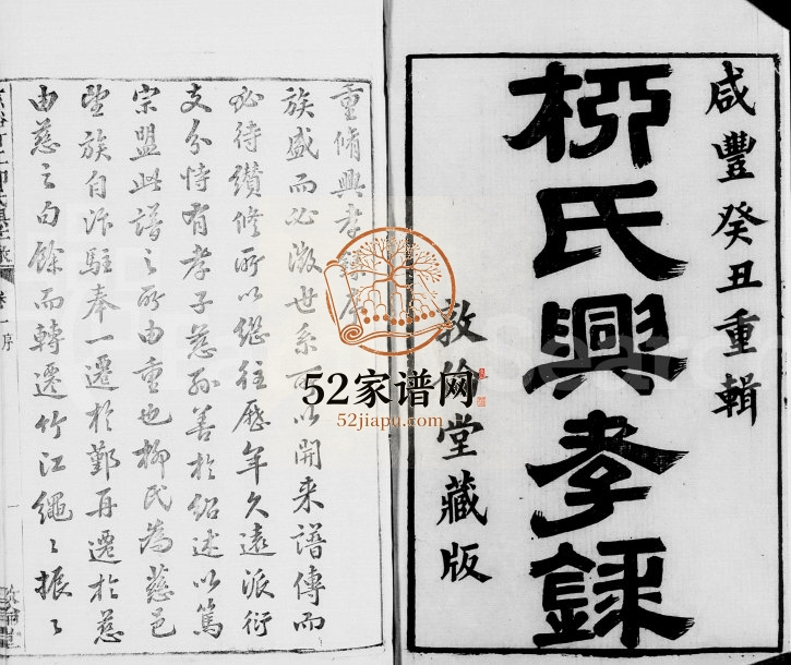 1853年修慈溪竹江柳氏兴孝录[24卷]浙江敦伦堂柳姓电子版族谱下载