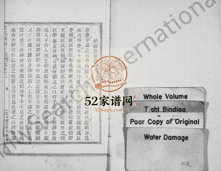 1932年修应氏总祠主谱[残卷]浙江永康应姓电子版族谱下载