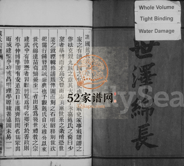 1992年增修谯国戴氏族谱 浙江永嘉戴姓电子版族谱下载