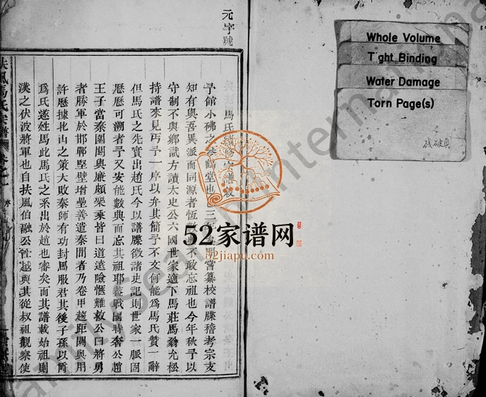 1888年续修扶风马氏宗谱[4卷]浙江嵊州 金华崇德堂马姓电子版族谱下载