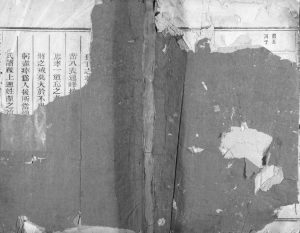 1937年修文堂林氏宗谱[不分卷]浙江衢州林姓电子版族谱下载