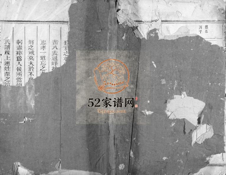 1937年修文堂林氏宗谱[不分卷]浙江衢州林姓电子版族谱下载