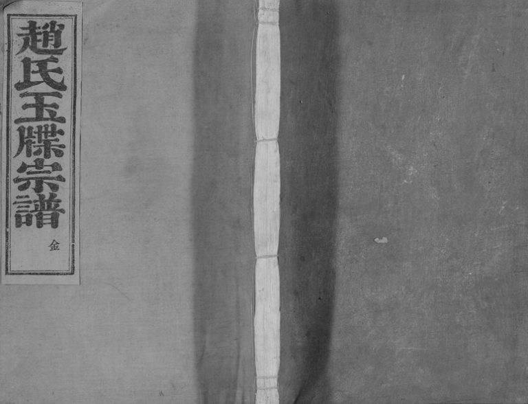 1917年修新昌浚仪赵氏宗谱[8卷首1卷]浙江德训堂赵姓电子版族谱下载