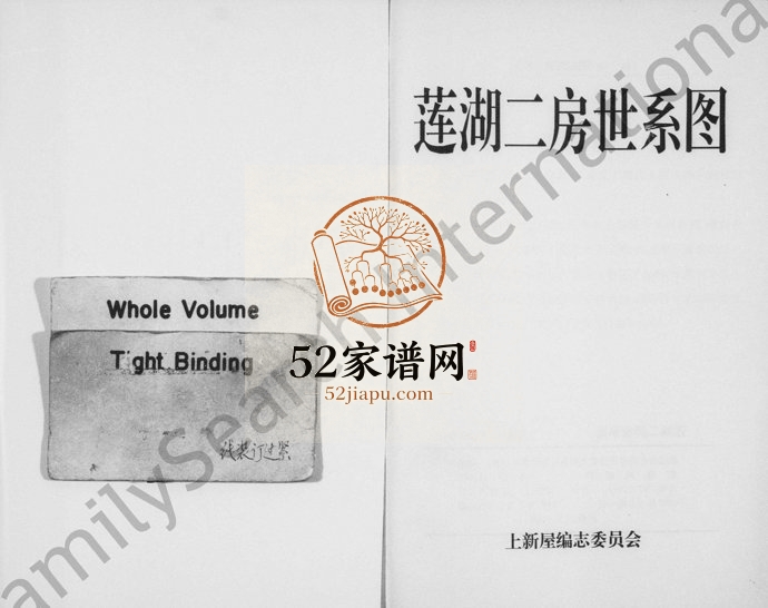 1997年修[施氏]莲湖二房世系图 浙江永康施姓电子版族谱下载