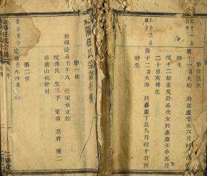 1873年修暨阳任氏宗谱 浙江柯桥 诸暨仁德堂任姓电子版族谱下载