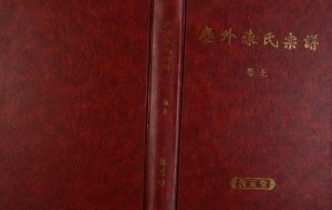 2009年修暨阳尘外陈氏宗谱[2卷]浙江诸暨敦五堂陈姓电子版族谱下载