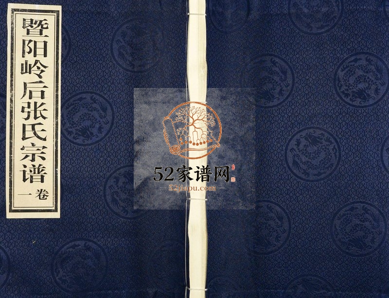 2013年修暨阳岭后张氏宗谱 浙江诸暨敦睦堂张姓电子版族谱下载