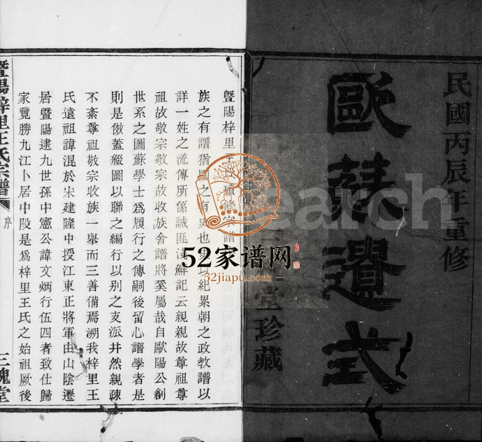 1916年修暨阳梓里王氏宗谱[8卷]浙江诸暨三槐堂王姓电子版族谱下载