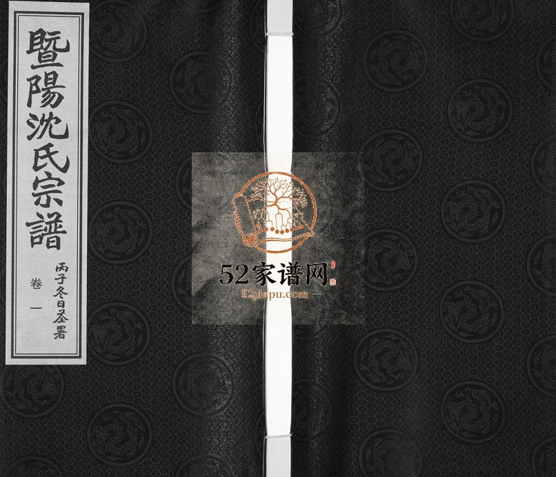 2014年续修暨阳沈氏宗谱[30卷]江苏江阴 无锡 浙江杭县溯溪堂沈姓电子版族谱下载