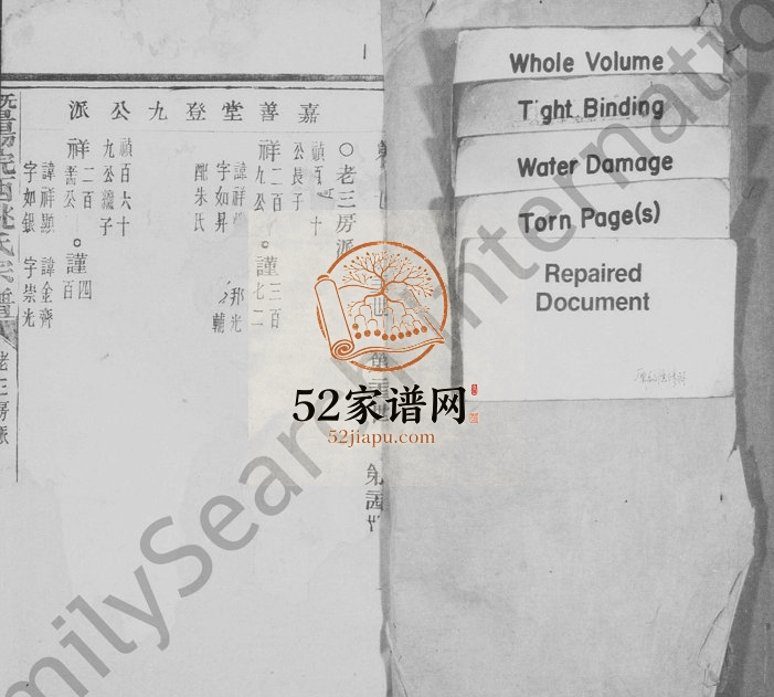 暨阳浣西姚氏宗谱[残卷]浙江诸暨嘉蔶堂姚姓电子版族谱下载