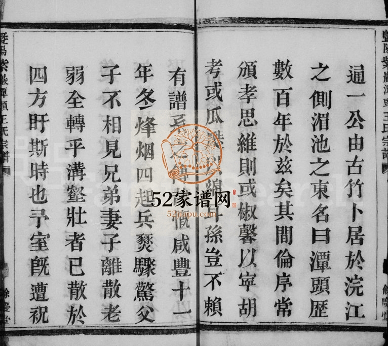 1875年暨阳紫岩潭头王氏宗谱 浙江诸暨余庆堂王姓电子版族谱下载