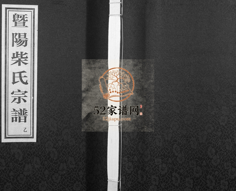 2014年修暨阳里亭柴氏宗谱 浙江诸暨斯聚堂柴姓电子版族谱下载
