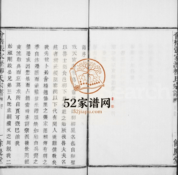 1925年修会稽张家沥柳氏宗谱[4卷]浙江柯桥余庆堂柳姓电子版族谱下载