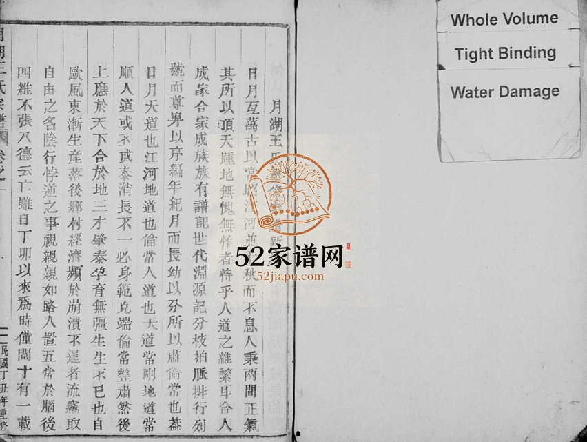 1937年修月湖王氏宗谱[13卷]浙江缙云王姓电子版族谱下载