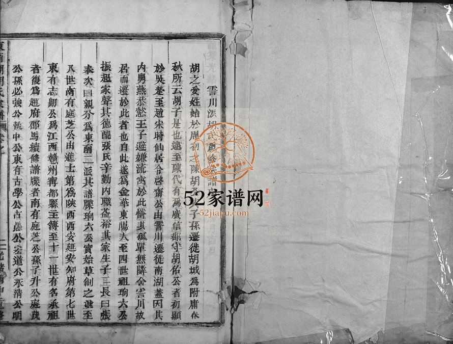 1896年修东南湖胡氏宗谱[20卷首1卷]浙江东阳胡姓电子版族谱下载