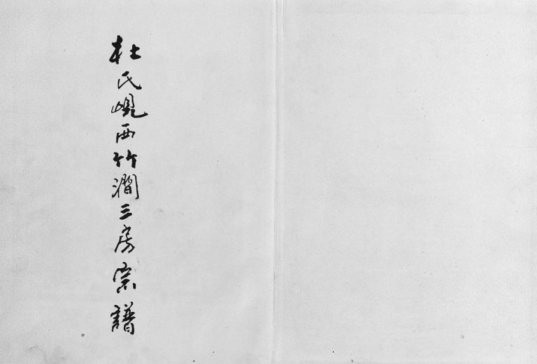 2005年重修杜氏岘西竹涧三房宗谱[4卷]浙江东阳杜生堂杜姓电子版族谱下载