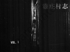 1996年修李氏雅庄村志 浙江永康李姓电子版族谱下载