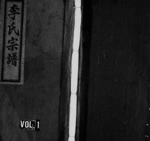1932年修李氏宗谱[卷数杂异]浙江缙云李姓电子版族谱下载