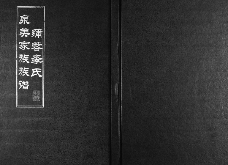 2012年修蒲蓉李氏泉美家族族谱[不分卷]浙江平阳李姓电子版家谱下载