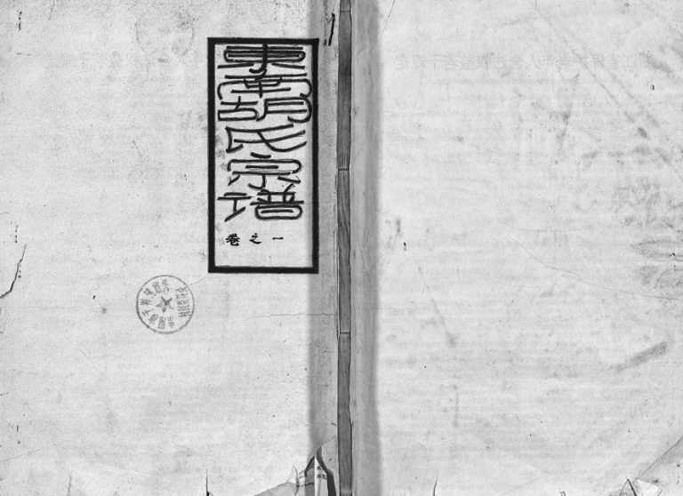 1870年重修东南湖胡氏宗谱[15卷]浙江东阳胡姓电子版族谱下载