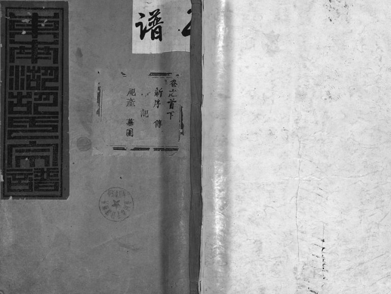 1940年续修东南湖胡氏宗谱[残卷]浙江东阳胡姓电子版族谱下载