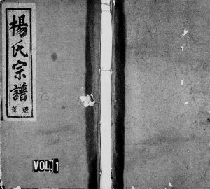 1947年修东山杨氏宗谱[6卷]浙江缙云杨姓电子版族谱下载