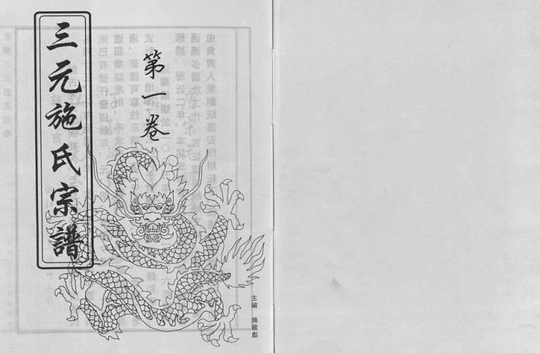 2006年修东阳三元施氏宗谱[5卷]浙江施姓电子版族谱下载