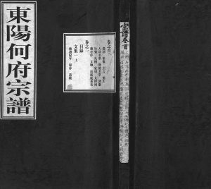 2001年重修东阳何府宗谱[46卷首1卷附2卷]浙江何姓电子版族谱下载