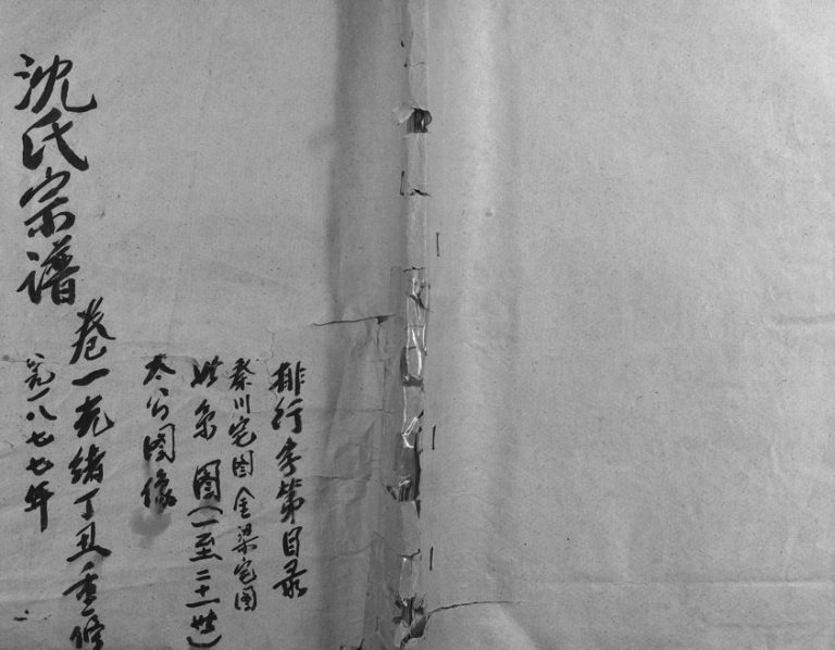 1877年修东阳沈氏宗谱 浙江沈姓电子版族谱下载