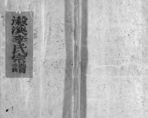 1928年重修东阳瀔溪李氏宗谱[12卷首1卷]浙江鹤山堂李姓电子版族谱下载