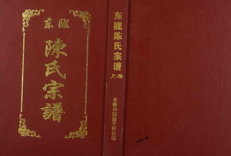2004年修东陇陈氏宗谱 浙江永康种德堂陈姓电子版族谱下载