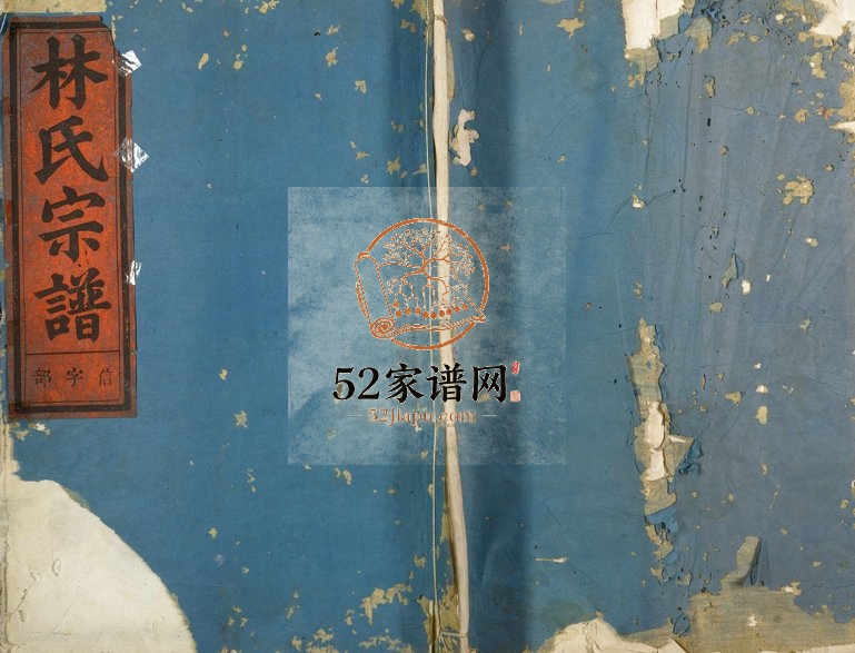 1931年重修林氏宗谱 浙江金华林姓电子版族谱下载