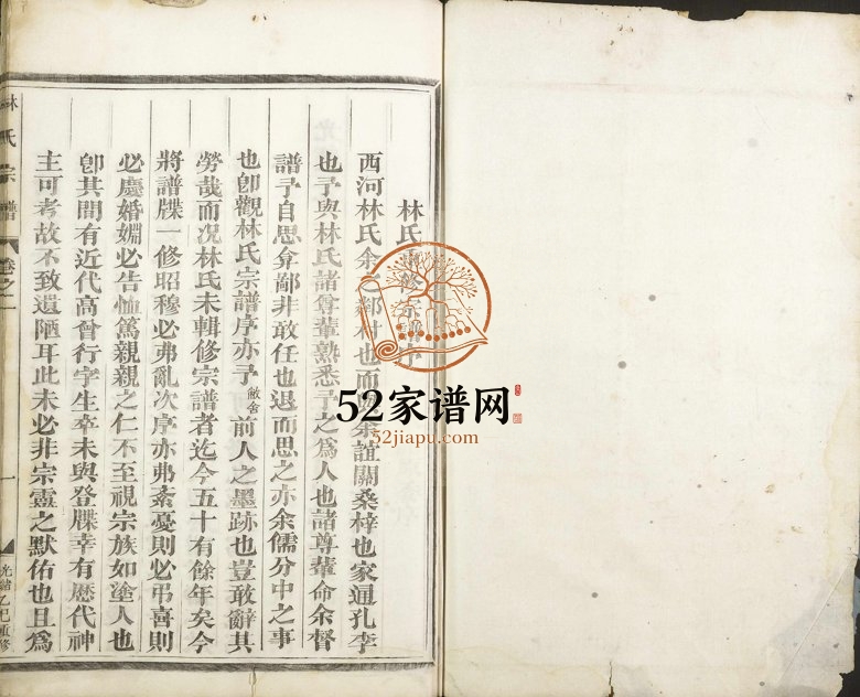 1905年重修林氏宗谱 浙江金华林姓电子版族谱下载