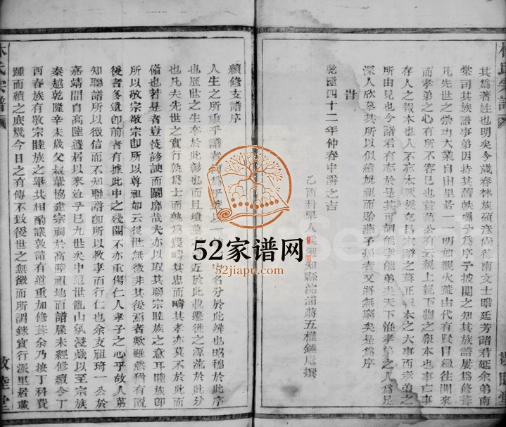 1882年修林氏宗谱[1卷]浙江临安敬睦堂林姓电子版族谱下载