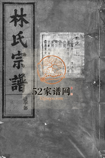 1932年续修碧川林氏宗谱[8卷]浙江永康 缙云林姓电子版族谱下载