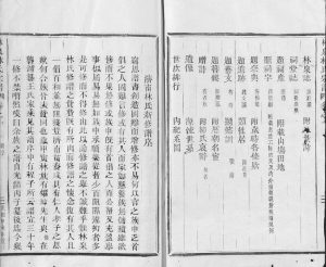 1914年修林泉林氏宗谱[2卷]浙江龙泉林姓电子版族谱下载