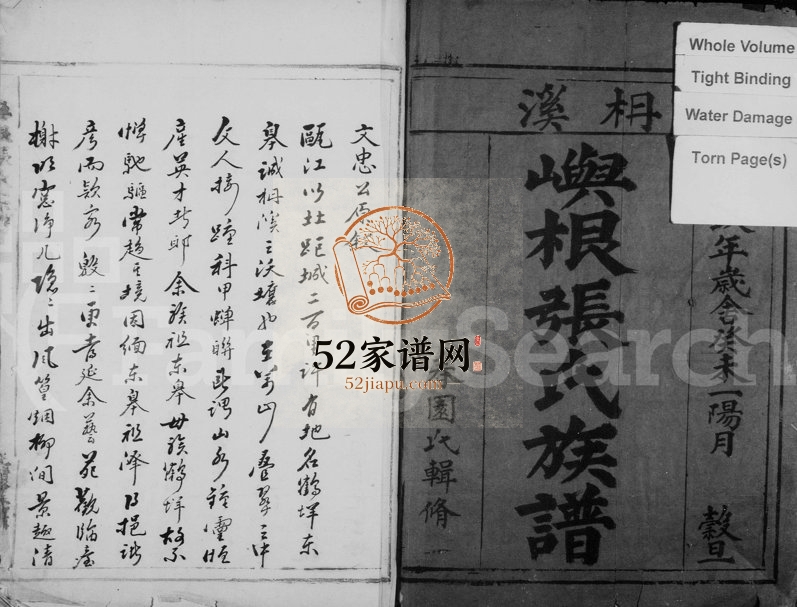 1883年修柟溪屿根张氏族谱 浙江永嘉张姓电子版家谱下载