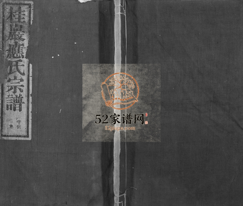 1929年修桂岩应氏宗谱[10卷]浙江嵊州敦伦堂应姓电子版族谱下载