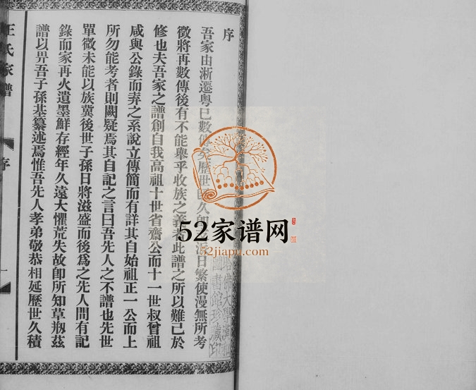 1928年初修桂林王氏家谱[3卷]广西临桂 浙江柯桥王姓电子版族谱下载