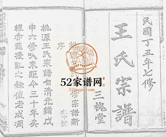 1937年桃源王氏七修宗谱[残卷]浙江常山 开化 江西玉山王姓电子版族谱下载