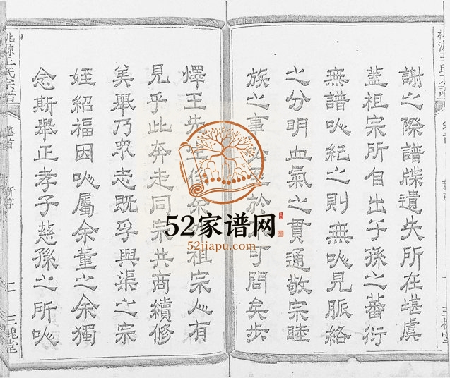 1937年桃源王氏七修宗谱[残卷]浙江常山 开化 江西玉山王姓电子版族谱下载