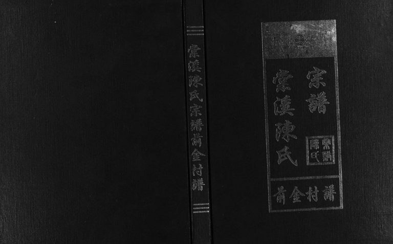 2003年修棠溪陈氏宗谱前金村谱[不分卷]浙江永康铸浙茂煌堂陈姓电子版族谱下载