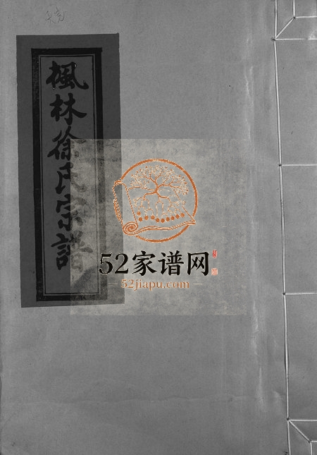 1994年修枫林徐氏宗谱[不分卷]浙江永嘉徐姓电子版族谱下载