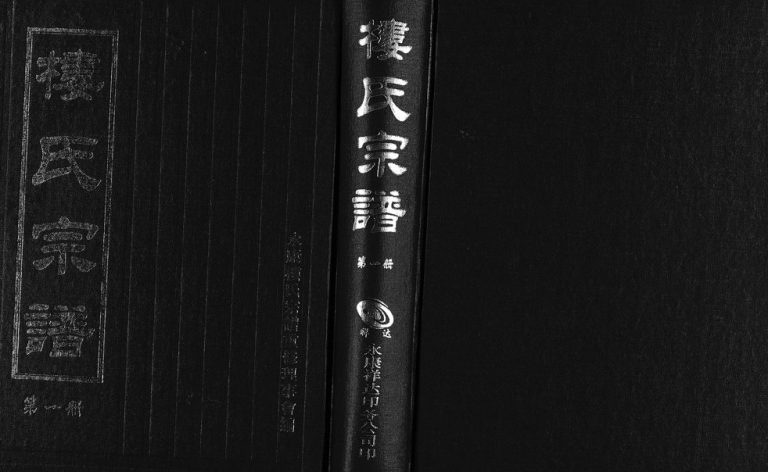 2004年重修楼氏宗谱[6卷]浙江永康楼姓电子版族谱下载