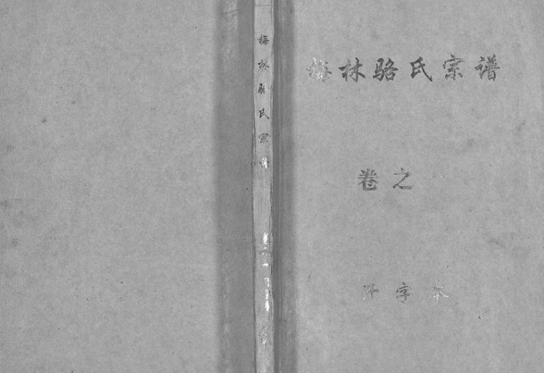1995年修梅林骆氏宗谱[10卷]浙江义乌骆姓电子版族谱下载