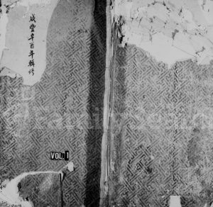 1863年修梅溪西岸金氏宗谱[6卷]浙江永嘉金姓电子版族谱下载