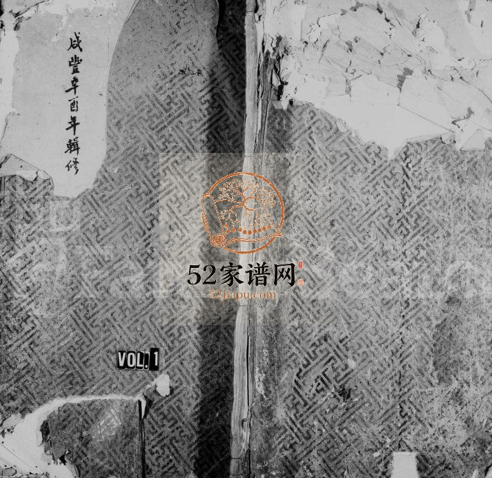 1863年修梅溪西岸金氏宗谱[6卷]浙江永嘉金姓电子版族谱下载
