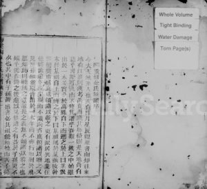 1830年重修梅溪西岸金氏宗谱[残卷]浙江永嘉金姓电子版族谱下载